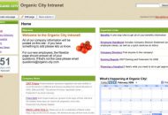 intranet website