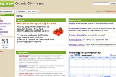 intranet website