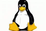 Linux logo