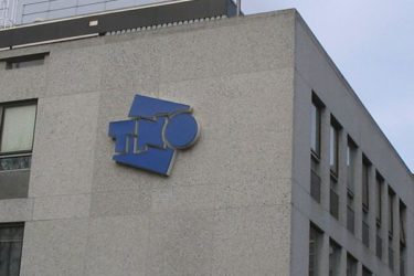 TNO