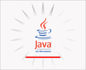 Java Sun Microsystems