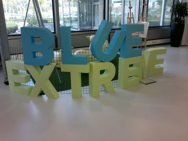 IBM Extreme Blue