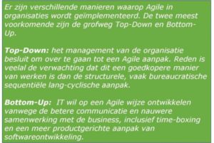 Agile een succesverhaal?