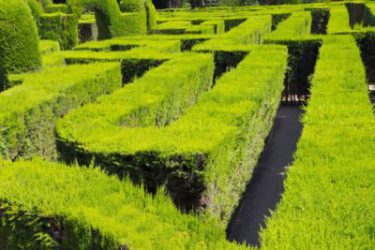Labyrinth