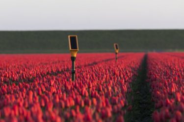 M2M Orange Business Services in de landbouw