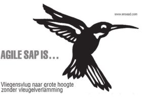 Agile SAP - Morgen om 08:45 beginnen we!