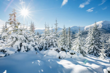 Winterlandschap