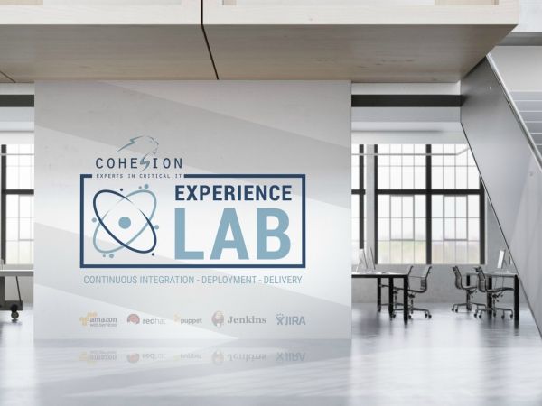 Cohesion Experience Lab