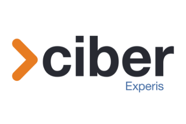 Experis Ciber