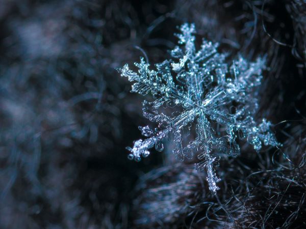 sneeuw koud vriezen temperatuur