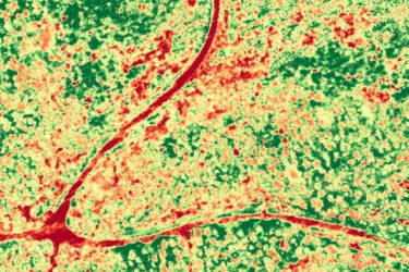 Remote sensing