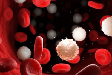 Tumorcellen kanker leukemie