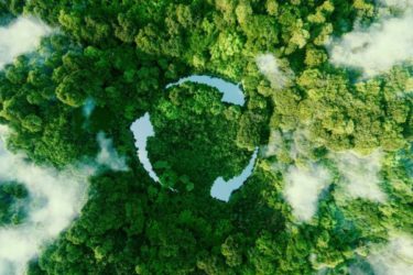 Sustainability