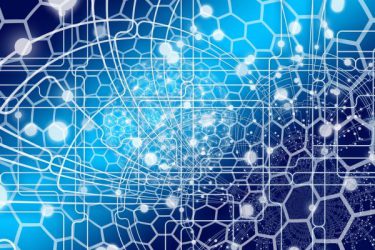Network