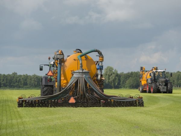 Agricultuur landbouw