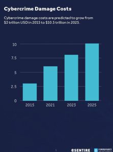 Cybercrime damage costs