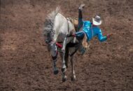 Cowboy valt van paard