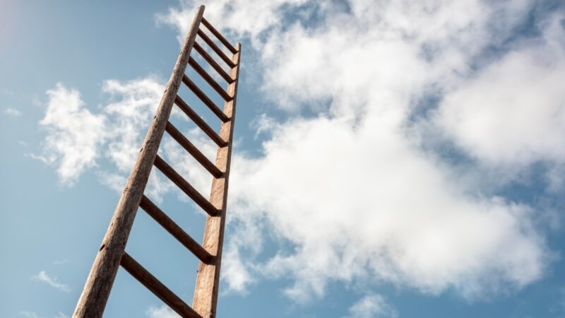 Safety Culture Ladder SCL